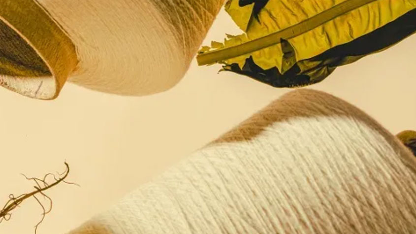 الیاف کلسان از جلبک دریایی الیاف کلسان از جلبک دریایی